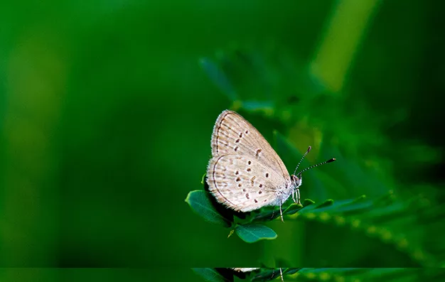 Nature by gods own design - #9 