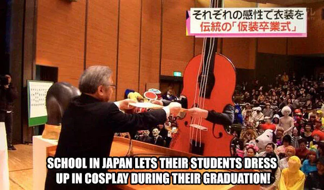 Best pics compilation of the week - #12 