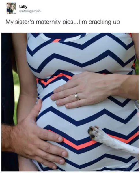 Best pics compilation of the week - #28 