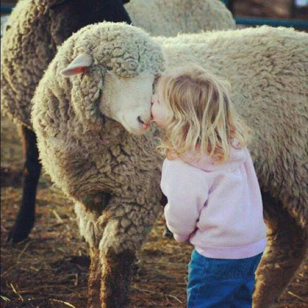 Best pics compilation of the week - #37 