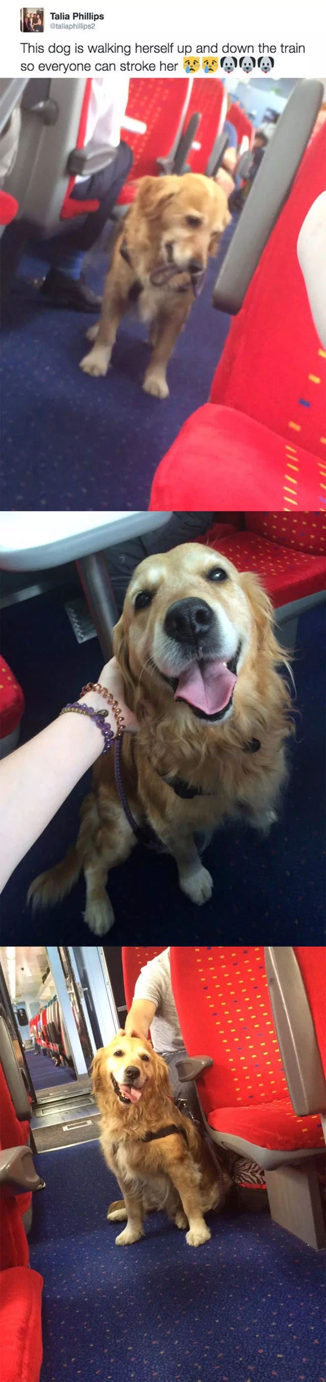 Best pics compilation of the week - #44 Best pics compilation of the week - #44