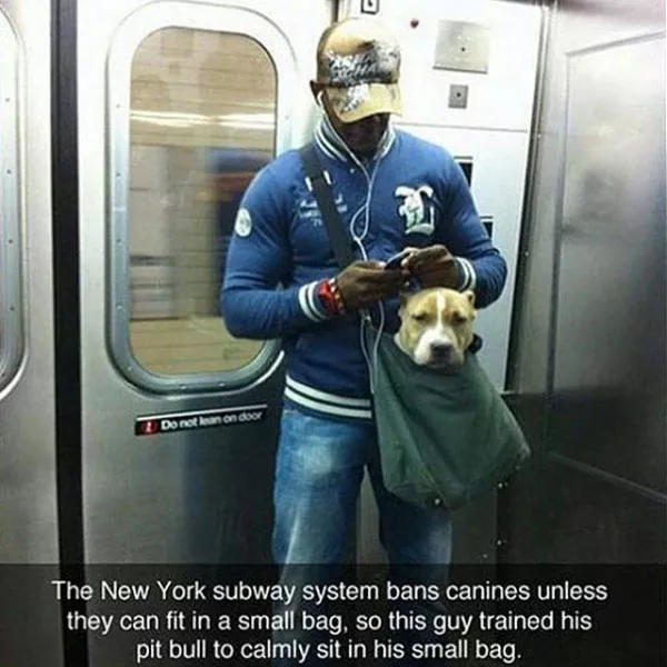 Best pics compilation of the week - #6 