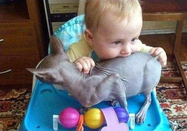 Picdump 201 - #10 