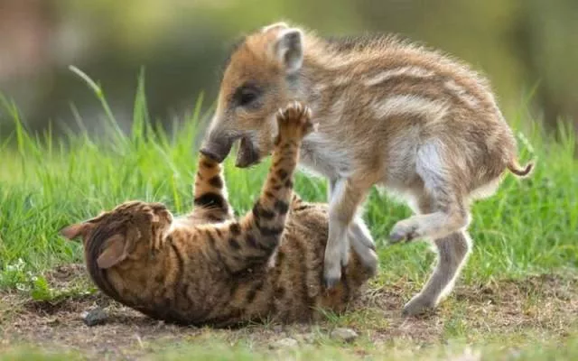 Picdump 201 - #11 