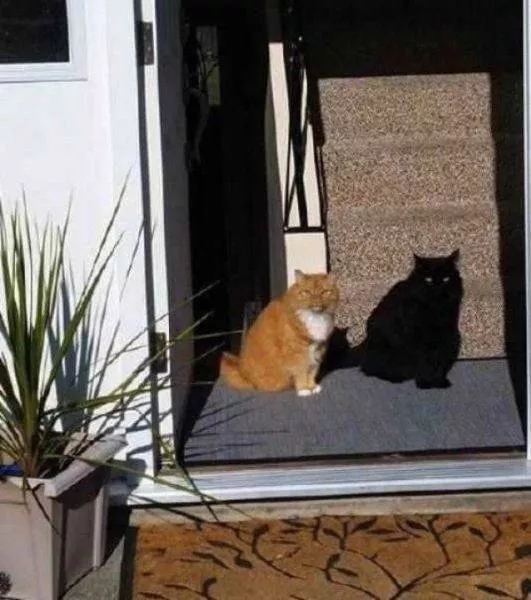 Picdump 201 - #15 