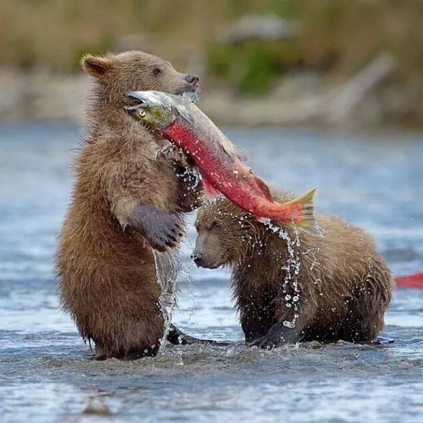 Picdump 201 - #17 