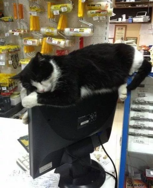 Picdump 201 - #19 