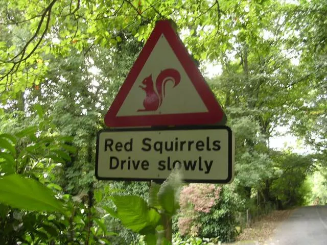 Picdump 201 - #51 
