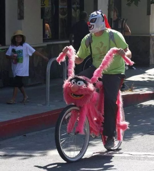 Picdump 201 - #61 