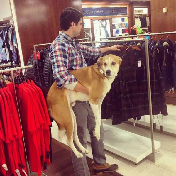 Picdump 201 - #63 