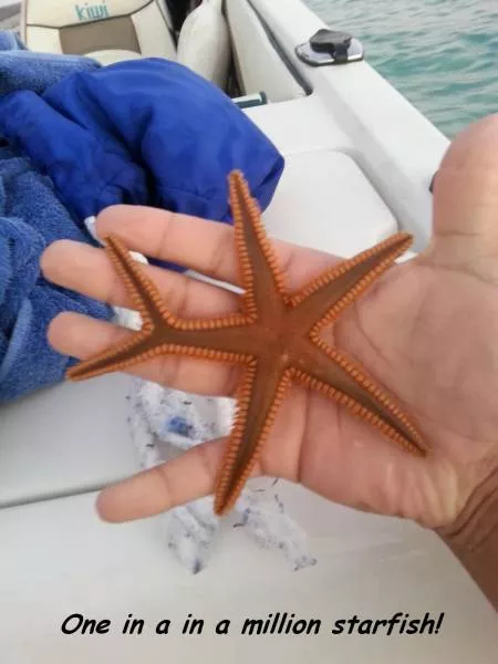 Picdump 201 - #67 