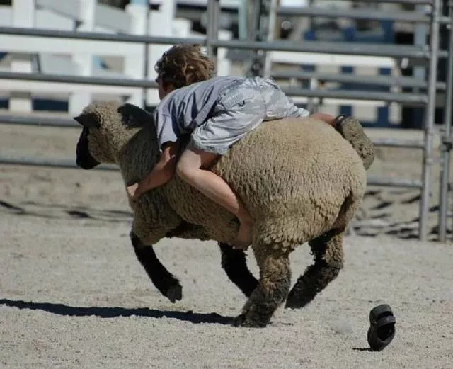 Picdump 201 - #79 