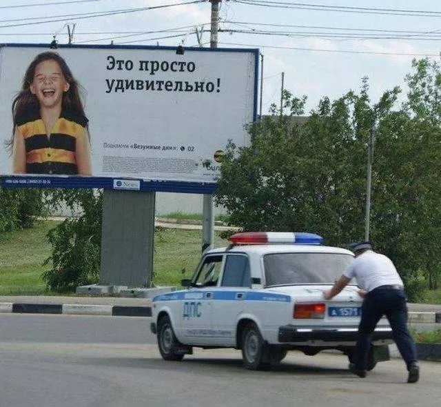 Picdump 201 - #8 