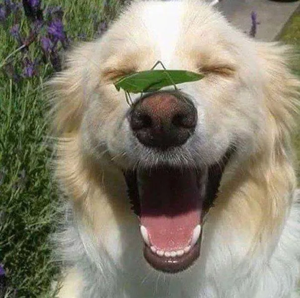 Picdump 201 - #83 