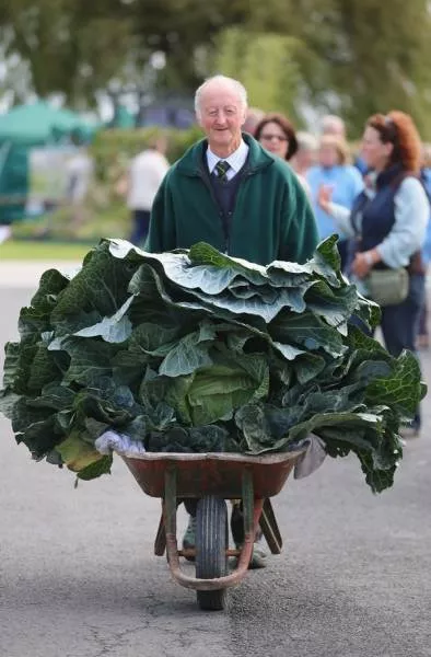 Picdump 202 - #11 
