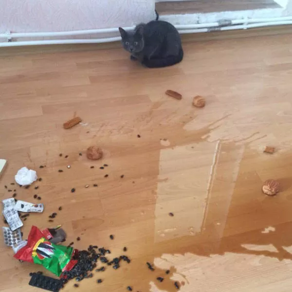 Picdump 202 - #20 