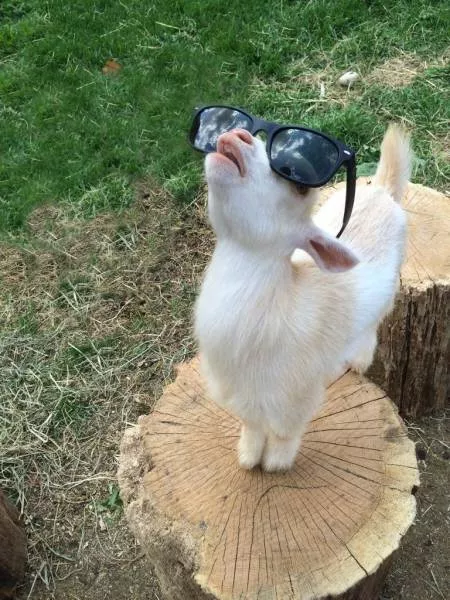 Picdump 202 - #27 