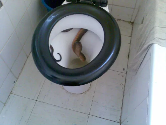 Picdump 202 - #29 