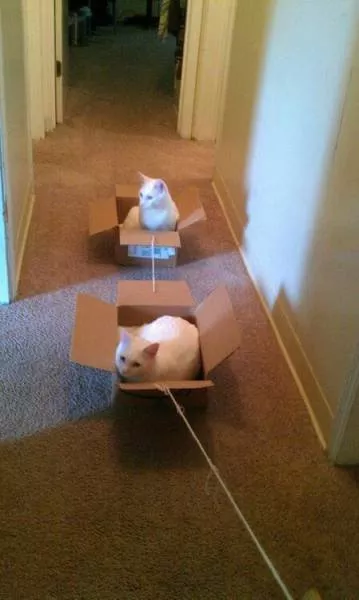 Picdump 202 - #38 