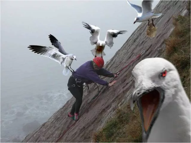 Picdump 202 - #44 