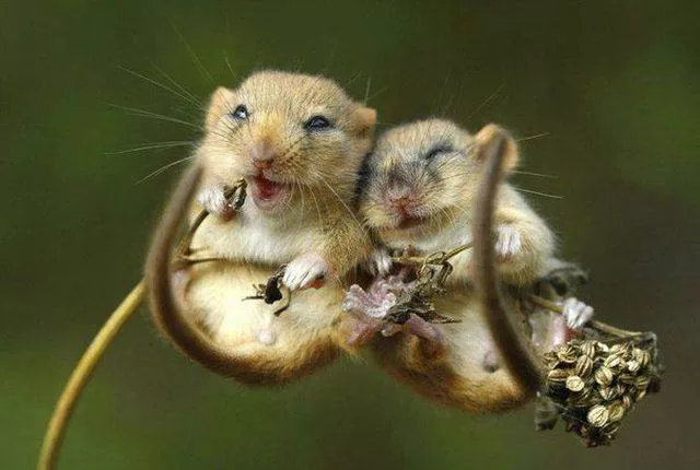 Picdump 203 - #31 