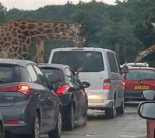 Picdump 203 - #42 