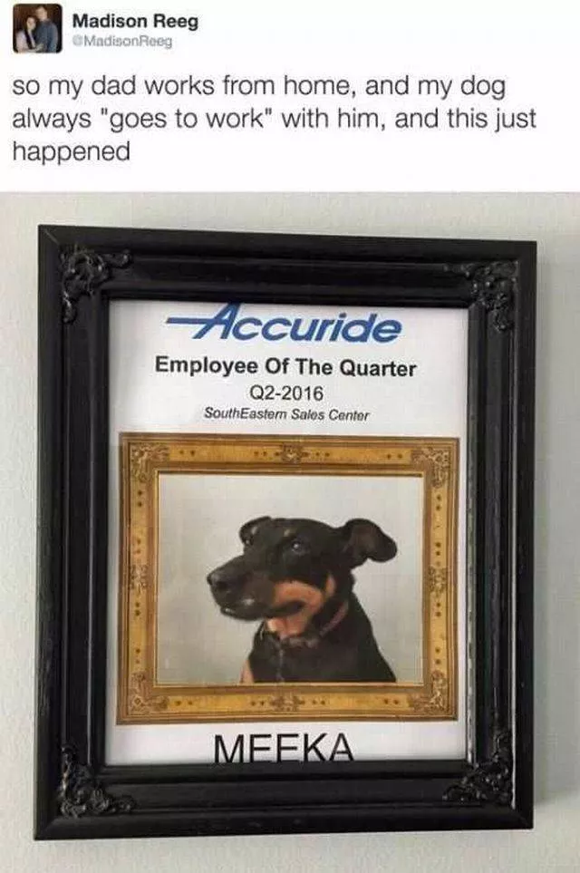 Picdump 203 - #54 