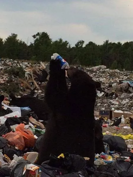 Picdump 203 - #56 