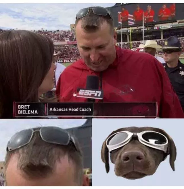 Picdump 204 - #1 