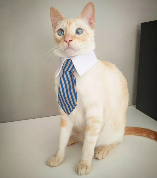 Picdump 204 - #40 