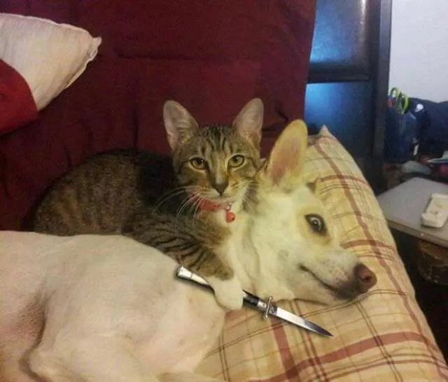 Picdump 205 - #21 