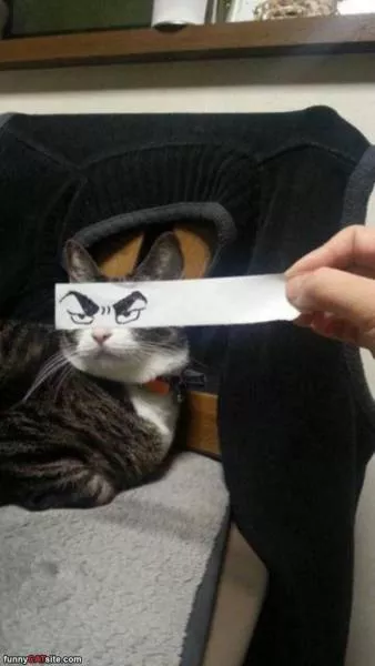 Picdump 205 - #5 