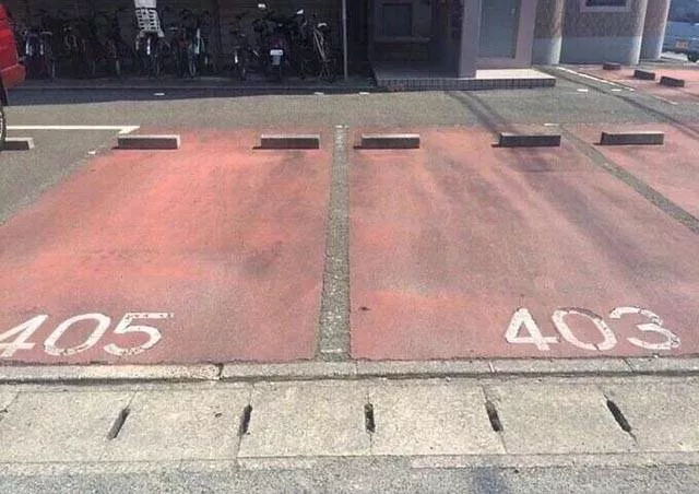 Picdump 206 - #46 
