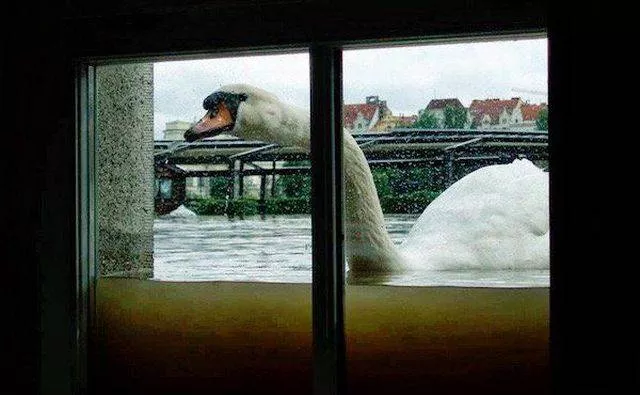 Picdump 27 - #25 