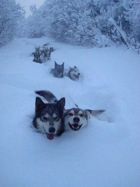 Picdump 27 - #31 