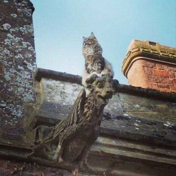 Picdump 27 - #35 