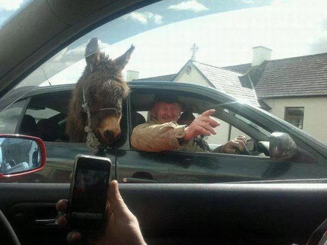 Picdump 27 - #36 