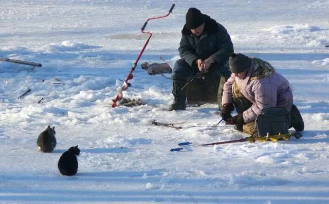 Picdump 27 - #37 