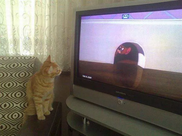 Picdump 27 - #44 