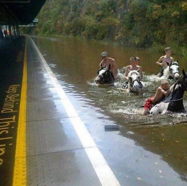 Picdump 27 - #45 