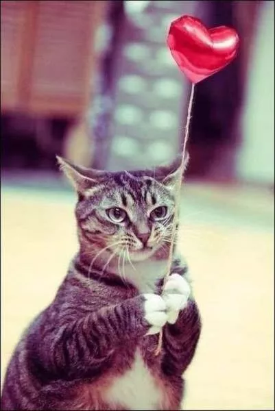Picdump 27 - #53 