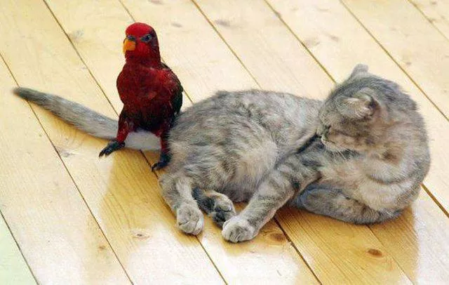 Picdump 27 - #9 