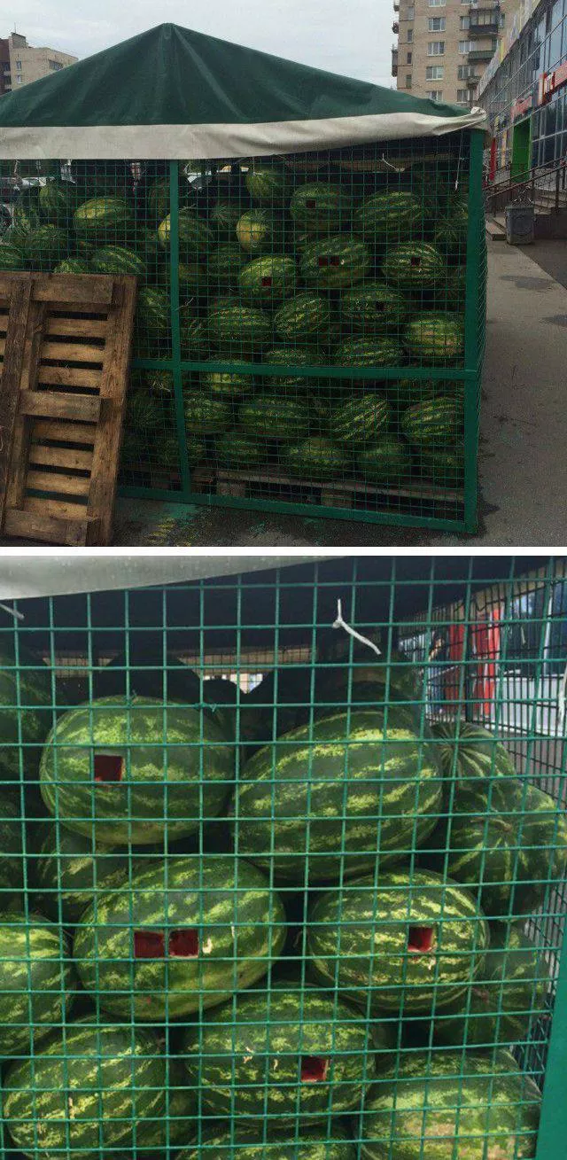 Picdump 207 - #104 