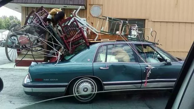Picdump 207 - #40 