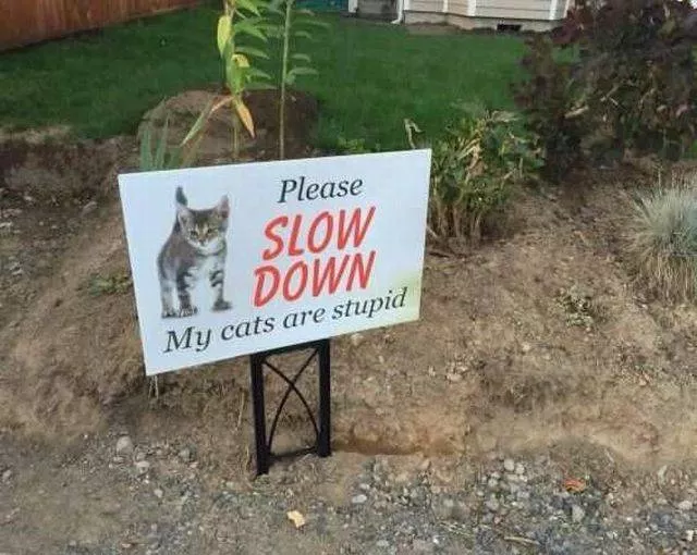 Picdump 207 - #53 