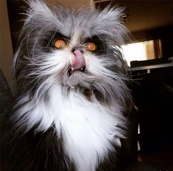 Picdump 207 - #55 