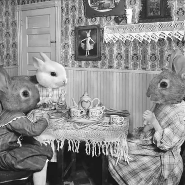 A good find of vintages wtf photos - #10 