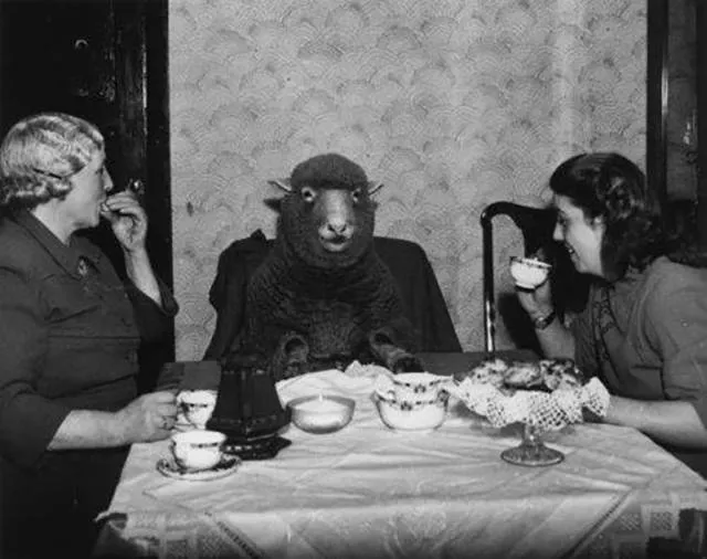 A good find of vintages wtf photos - #11 