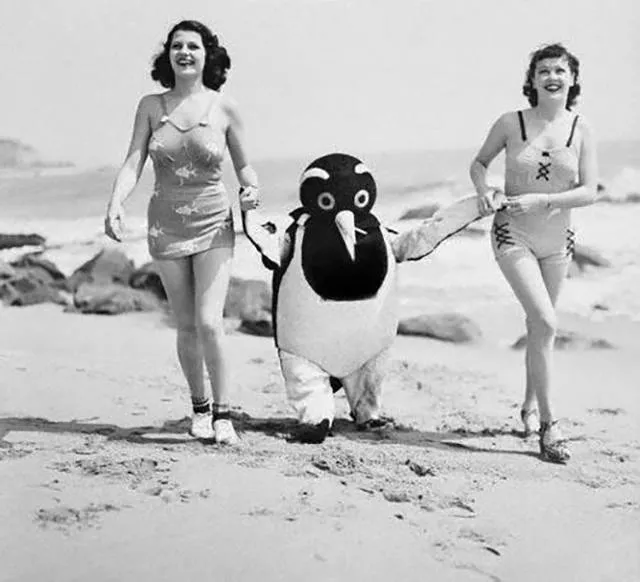 A good find of vintages wtf photos - #26 