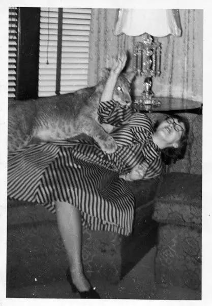 A good find of vintages wtf photos - #4 